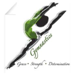 Bam Dance And Gymnastics Team