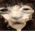 O_K