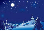Snowy's Team Polar