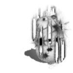 Shattered Reality Chomik