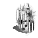 Shattered Reality Chomik