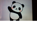 aesthetic panda xx