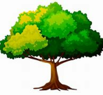 Team Tree Studio