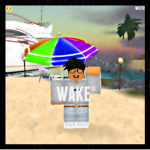 Wake®
