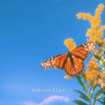 *~butterflyz~*