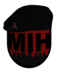 THE M.I.H