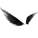 Offwhite Dark Outlaw Wings [ b1 ]