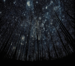 (4)stars