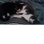 momey