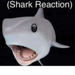 (shark reaction)