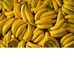 banana cool really cool andBIG AND FAT