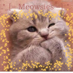 .*_[= Meowsies =]_*.