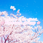 >blossoms<