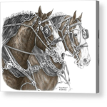 KH ( Karmas Horses )