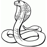 Bacon haired snakes