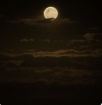 Full moon shops