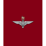 IB | Parachute Regiment