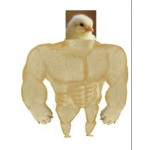 GRUPO DE EL REY POLLO