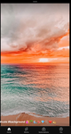 Sunset princess