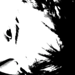 Lebelebe