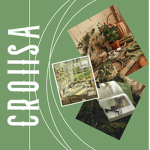 croiisa