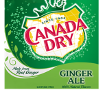 GINGER ALE STUDIOS
