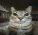 ManFamiliar