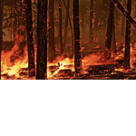 Blazing_Neura Community!