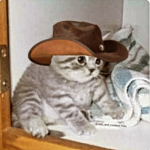 Like for robuxs uu