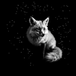 Spacefoxx