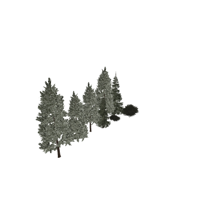 ✨ [Amazing!] 🌌 [New!] Forest Trees