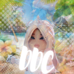 DDC | Dolphins Dance Company