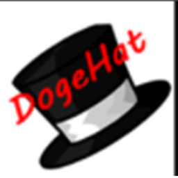 The Doge Hat clan's Airship