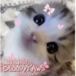 BloodyPaws