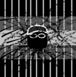 No peace DevTeam