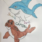 Shark and Seal Gaming