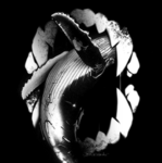 - Bl4ckWhale -
