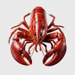A Lobster Studios