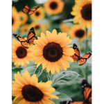 ~•~Sunflower Squad~•~