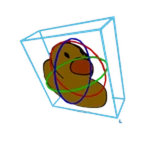 Rotating Duck