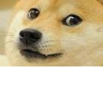 the doge federal savers
