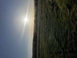 hey yall xo