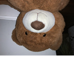 Bears are best GAMES