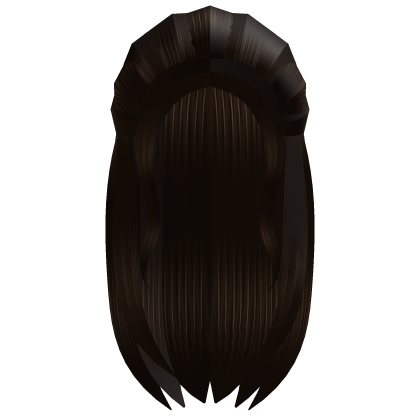 long brown hair with half updo Roblox item