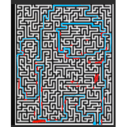 Sus Escape Maze