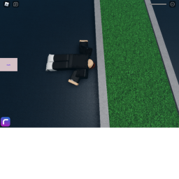 die simulator