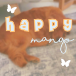 - HAPPY MANGO -
