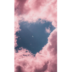 Pink whale challenge