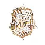 HufflePuff Team