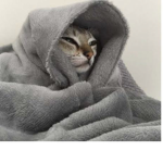Danapopsi
